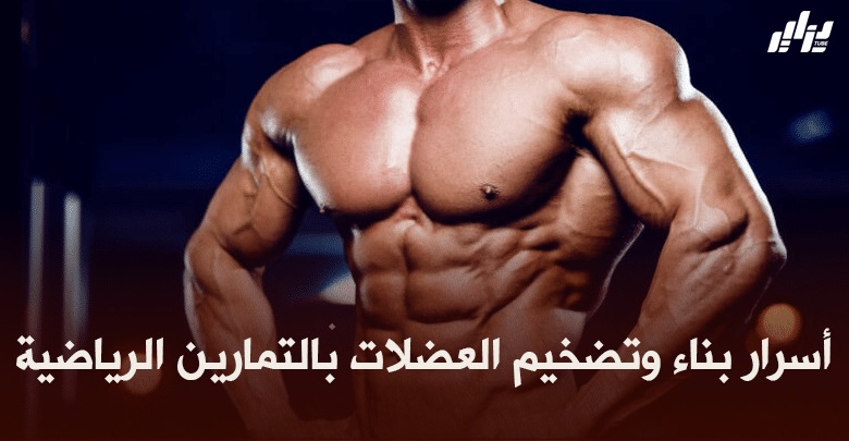 صحة ورياضة: أسرار بناء وتضخيم العضلات بالتمارين الرياضية