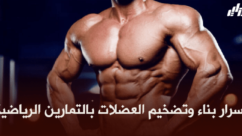 صحة ورياضة: أسرار بناء وتضخيم العضلات بالتمارين الرياضية
