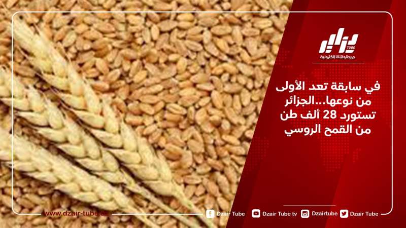في سابقة تعد الأولى من نوعها…الجزائر تستورد 28 ألف طن من القمح الروسي