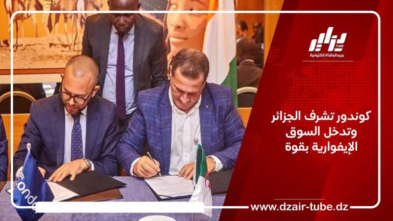كوندور تشرف الجزائر وتدخل السوق الإيفوارية بقوة