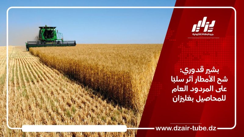 بشير قدوري: شح الأمطار أثر سلبًا على المردود العام للمحاصيل بغليزان