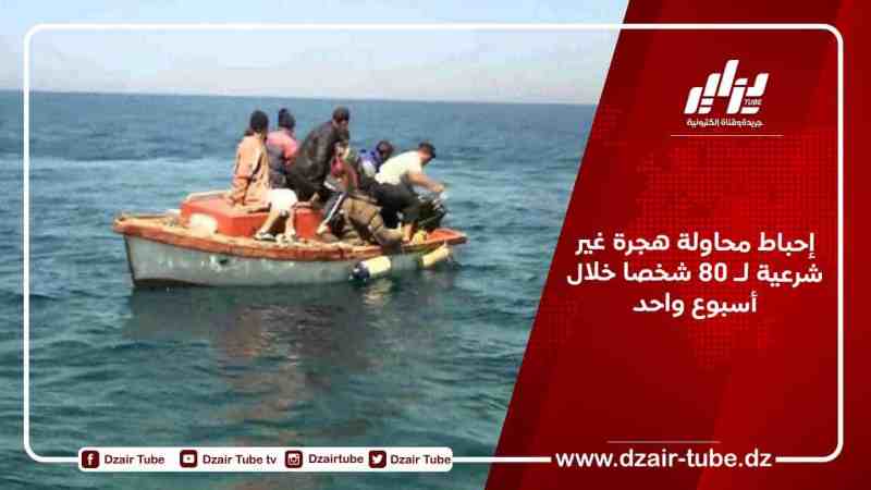 إحباط محاولة هجرة غير شرعية لـ 80 شخصا خلال أسبوع واحد