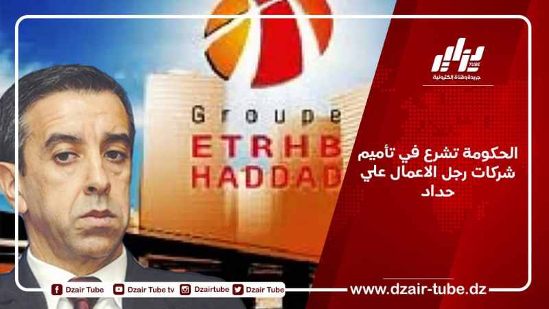 الحكومة تشرع في تأميم شركات رجل الاعمال علي حداد