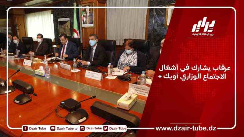 عرقاب يشارك في أشغال الاجتماع الوزاري أوبك+