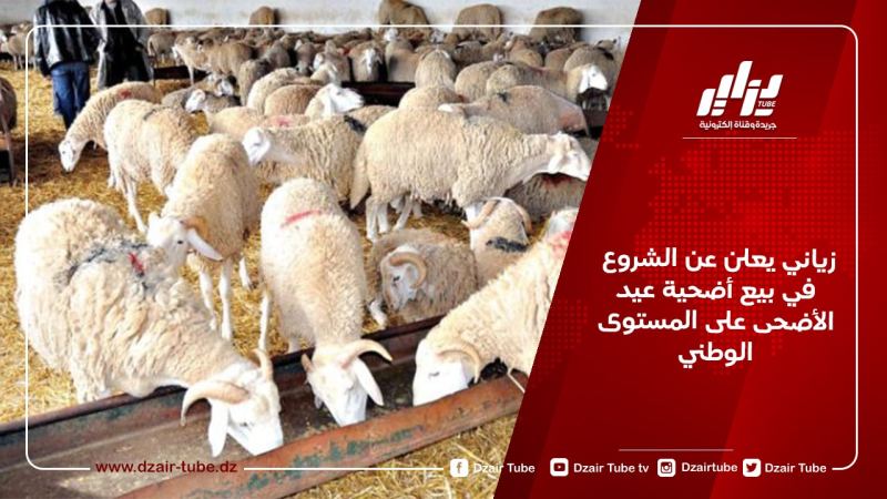 زياني يعلن عن الشروع في بيع أضحية عيد الأضحى على المستوى الوطني