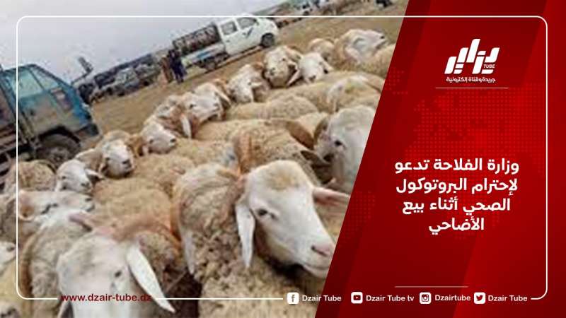 وزارة الفلاحة تدعو لإحترام البروتوكول الصحي خلال بيع الأضاحي