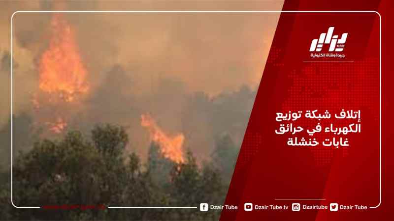 إتلاف شبكة توزيع الكهرباء في حرائق غابات خنشلة