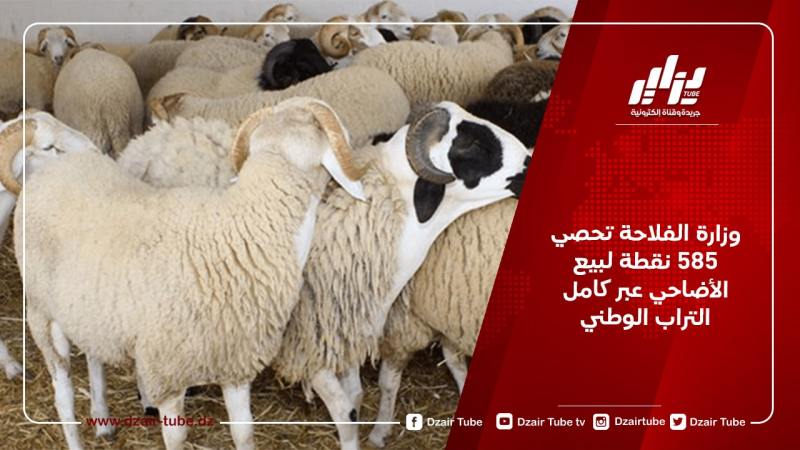 وزارة الفلاحة تحصي 585 نقطة لبيع الأضاحي عبر كامل التراب الوطني