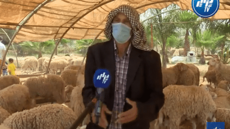 الموالون يعدون سنخفض الأسعار إذا تواصل العزوف