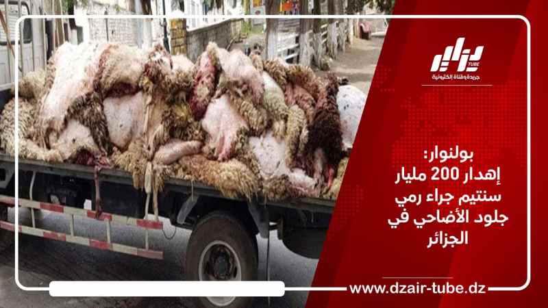 بولنوار: إهدار ما قيمته 200 مليار سنتيم جراء رمي جلود الأضاحي في الجزائر