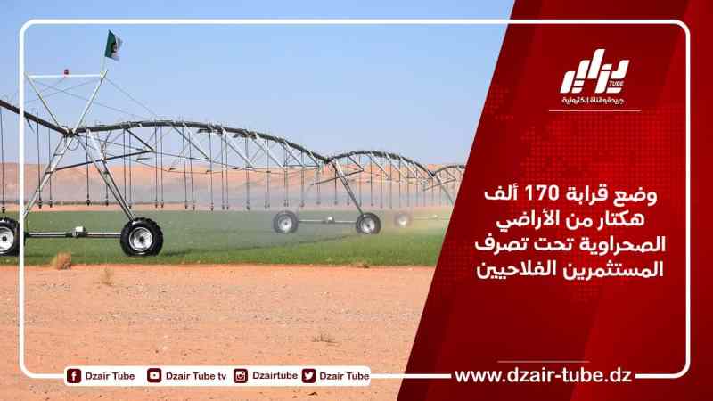 وضع قرابة 170 ألف هكتار من الأراضي الصحراوية تحت تصرف المستثمرين الفلاحيين