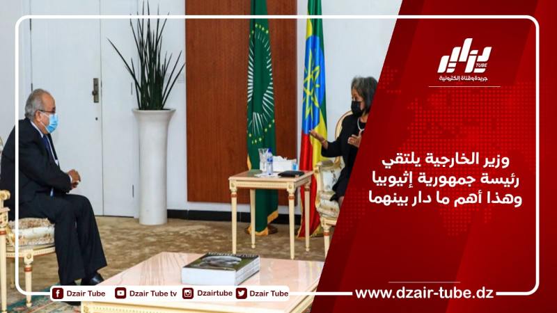 وزير الخارجية يلتقي رئيسة جمهورية إثيوبيا وهذا أهم ما دار بينهما