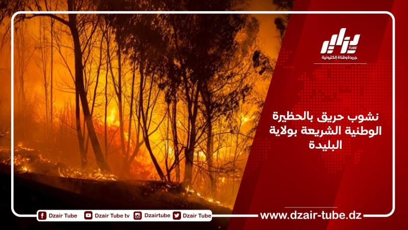نشوب حريق بالحظيرة الوطنية الشريعة بولاية البليدة