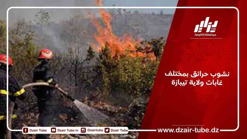 نشوب حرائق بمختلف غابات ولاية تيبازة