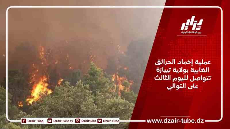 عملية إخماد الحرائق الغابية بولاية تيبازة تتواصل لليوم الثالث على التوالي