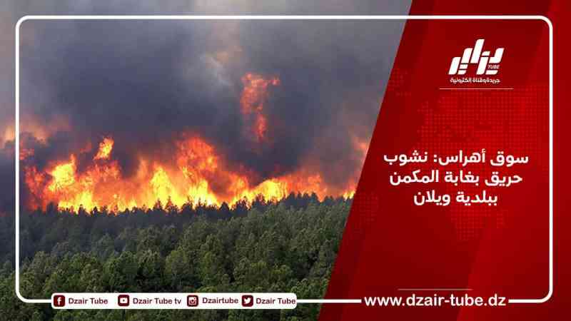 سوق أهراس: نشوب حريق بغابة المكمن ببلدية ويلان