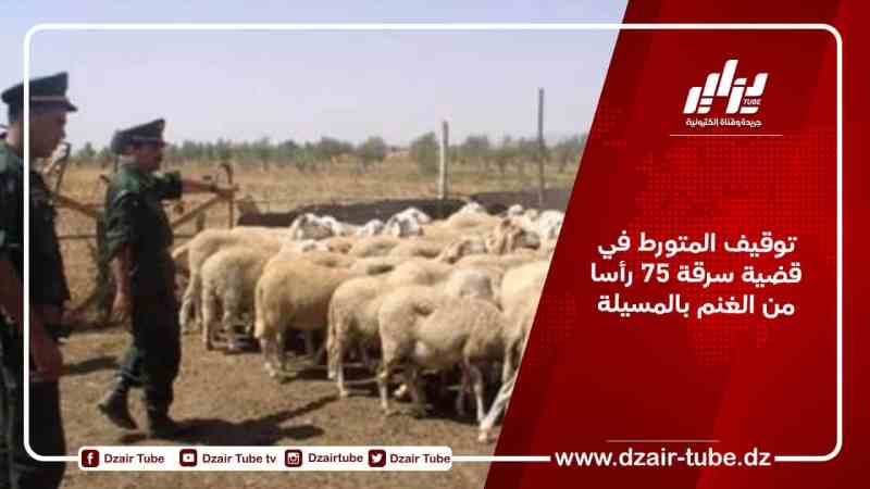 توقيف المتورط  في قضية سرقة 75 رأسا من الغنم بالمسيلة