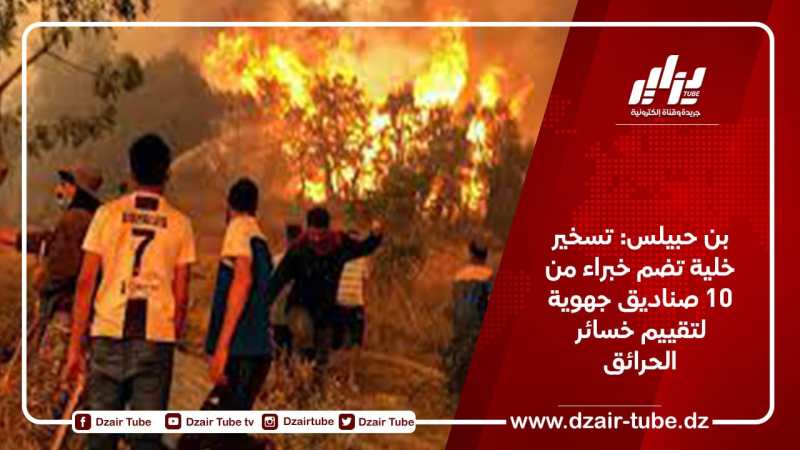 بن حبيلس: تسخير خلية تضم خبراء من 10 صناديق جهوية لتقييم خسائر الحرائق