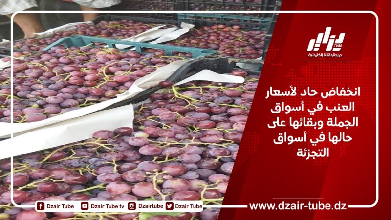 انخفاض حاد لأسعار العنب في أسواق الجملة وبقائها على حالها في أسواق التجزئة