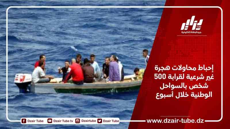 إحباط محاولات هجرة غير شرعية لقرابة 500 شخص بالسواحل الوطنية خلال أسبوع