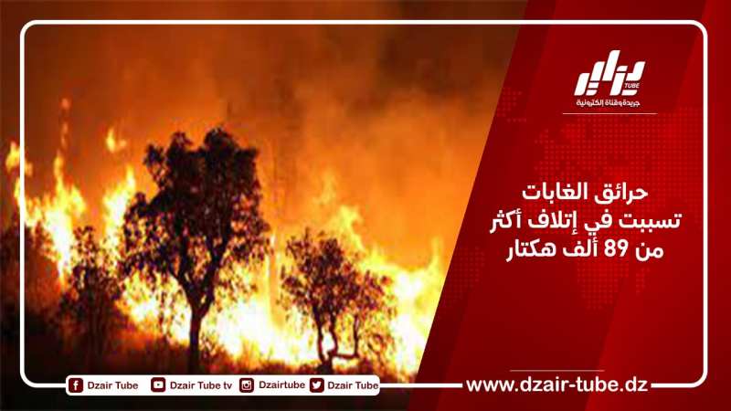حرائق الغابات تسببت في إتلاف أكثر من 89 ألف هكتار