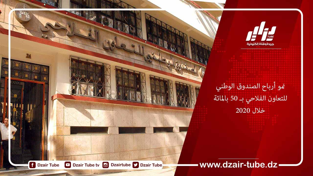 نمو أرباح الصندوق الوطني للتعاون الفلاحي بـ 50 بالمائة خلال 2020