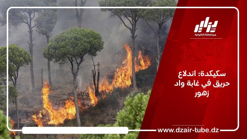 سكيكدة: اندلاع حريق في غابة واد زهور
