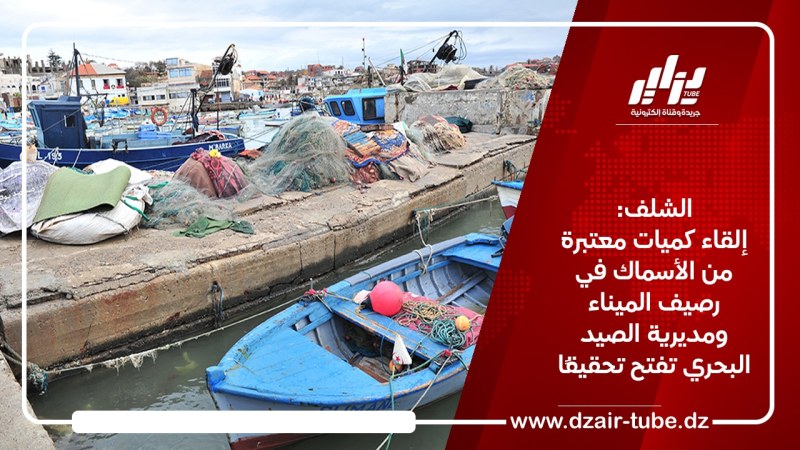 الشلف: إلقاء كميات معتبرة من الأسماك في رصيف الميناء ومديرية الصيد البحري تفتح تحقيقًا