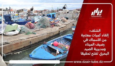 الشلف: إلقاء كميات معتبرة من الأسماك في رصيف الميناء ومديرية الصيد البحري تفتح تحقيقًا