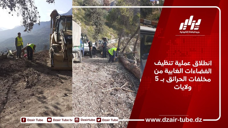 انطلاق عملية تنظيف الفضاءات الغابية من مخلفات الحرائق بـ 5 ولايات