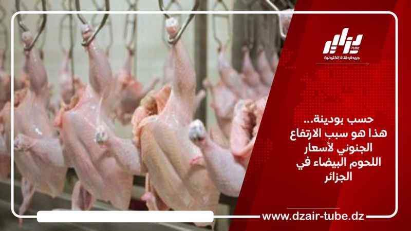 حسب بودينة… هذا هو سبب الارتفاع الجنوني لأسعار اللحوم البيضاء في الجزائر