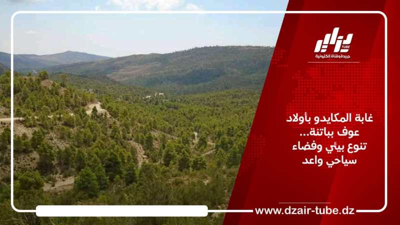 غابة المكايدو بأولاد عوف بباتنة… تنوع بيئي وفضاء سياحي واعد