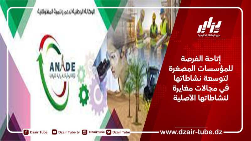 إتاحة الفرصة للمؤسسات المصغرة لتوسعة نشاطاتها في مجالات مغايرة لنشاطاتها الأصلية