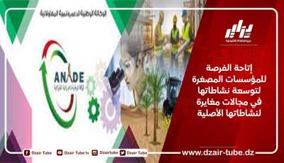 إتاحة الفرصة للمؤسسات المصغرة لتوسعة نشاطاتها في مجالات مغايرة لنشاطاتها الأصلية