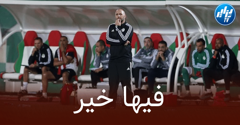 مدافع الخضر يُورط جمال بلماضي
