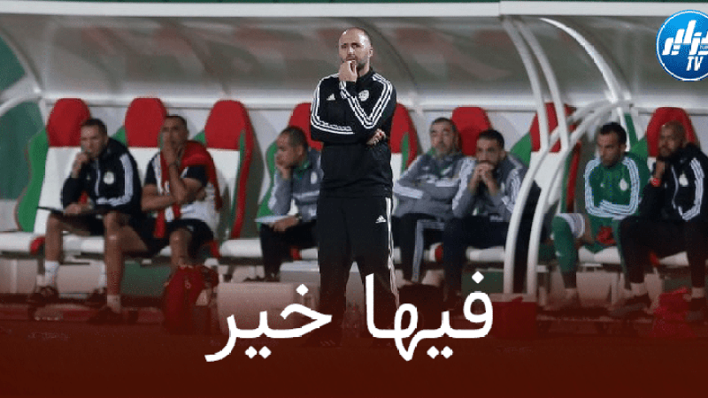 مدافع الخضر يُورط جمال بلماضي