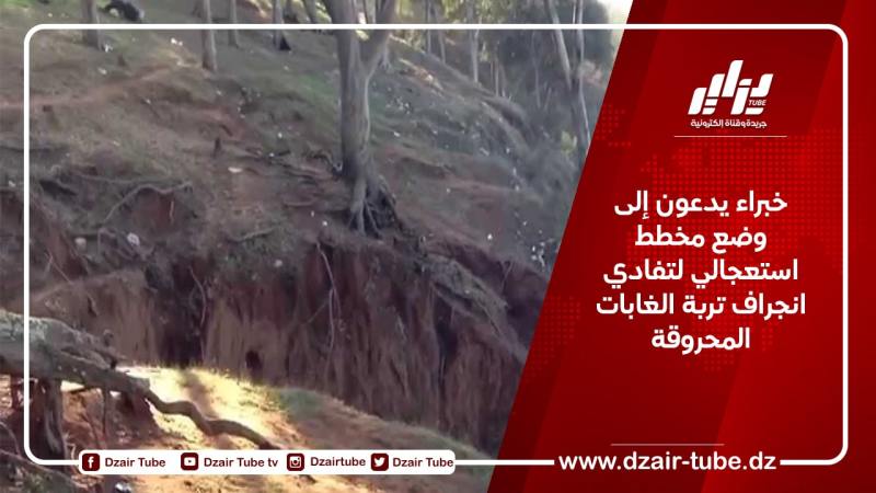 خبراء يدعون إلى وضع مخطط استعجالي لتفادي انجراف تربة الغابات المحروقة