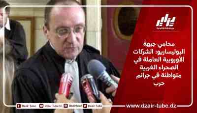 محامي جبهة البوليساريو: الشركات الأوروبية العاملة في الصحراء الغربية متواطئة في جرائم حرب