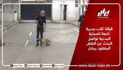فرقتا كلاب مدربة تابعة للحماية المدنية تواصلان البحث عن الطفل المفقود ببشار
