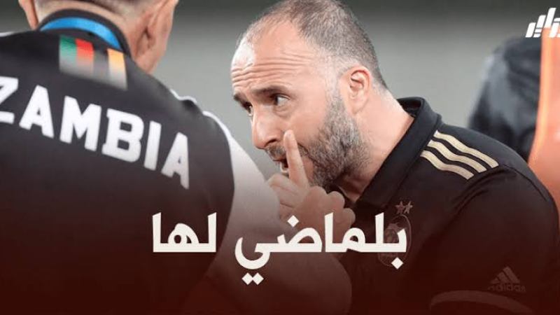 بلماضي يعود الى أرض الوطن و يشرع في التحضير لمباراتي النيجر
