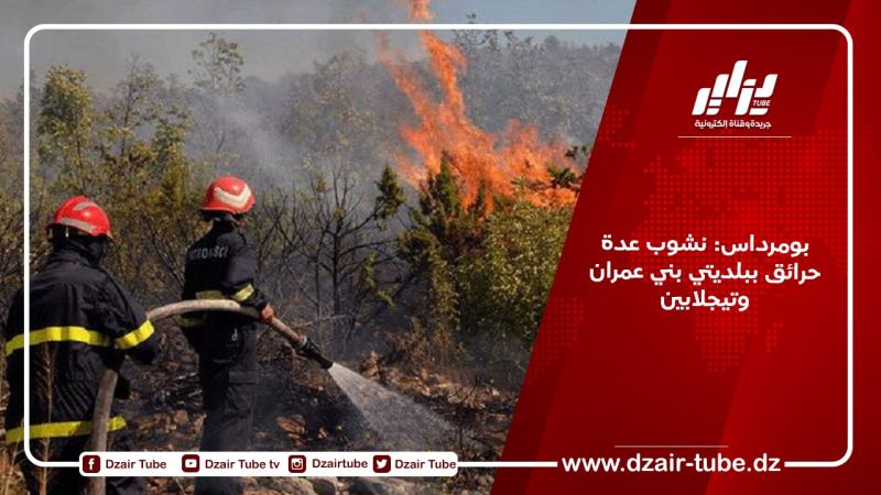 بومرداس: نشوب عدة حرائق ببلديتي بني عمران وتيجلابين