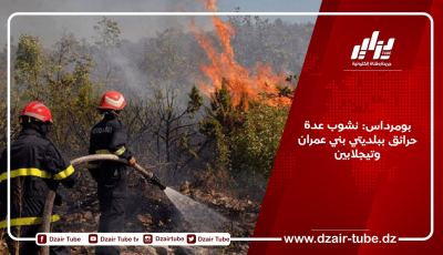 بومرداس: نشوب عدة حرائق ببلديتي بني عمران وتيجلابين