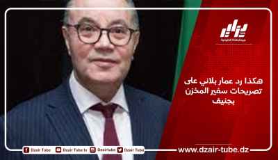 هكذا رد عمار بلاني على تصريحات سفير المخزن بجنيف