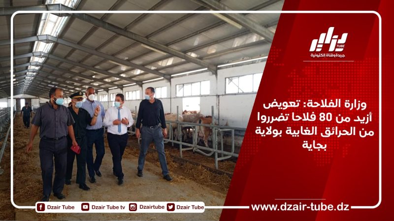 وزارة الفلاحة: تعويض أزيد من 80 فلاحا تضرروا من الحرائق الغابية بولاية بجاية