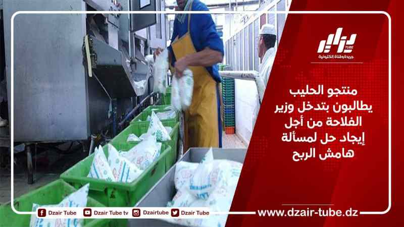 منتجو الحليب يطالبون بتدخل وزير الفلاحة من أجل إيجاد حل لمسألة هامش الربح