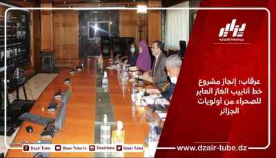 عرقاب: إنجاز مشروع خط أنابيب الغاز العابر للصحراء من أولويات الجزائر اقتصاديا
