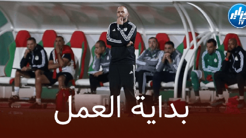 البداية ب’حامي العرين’…بلماضي يبدأ في ارسال الدعوات للاعبي المنتخب الوطني