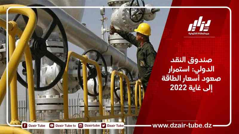 صندوق النقد الدولي: استمرار صعود أسعار الطاقة إلى غاية 2022