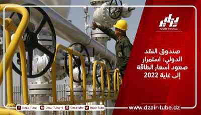 صندوق النقد الدولي: استمرار صعود أسعار الطاقة إلى غاية 2022
