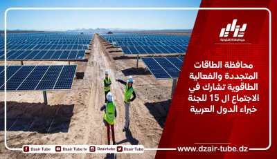 محافظة الطاقات المتجددة والفعالية الطاقوية تشارك في الاجتماع ال 15 للجنة خبراء الدول العربية
